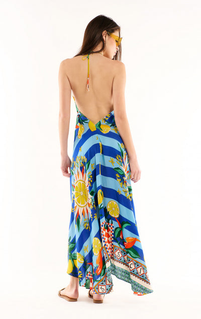 Wild Voila Dress